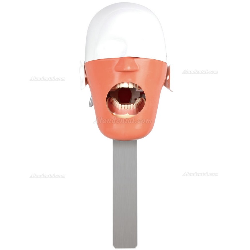 Jingle C6-3 Dental Surgery Practice Phantom Head (Attach on Dental Chair Type)